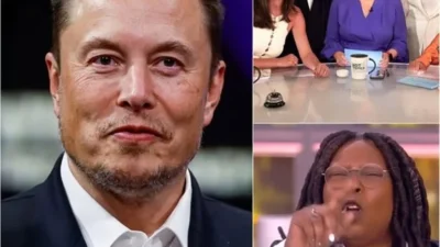 Elon Musk called for a boycott of The View, calling it “a meeting place for ignorant women.” Immediately after, the entire cast responded fiercely.