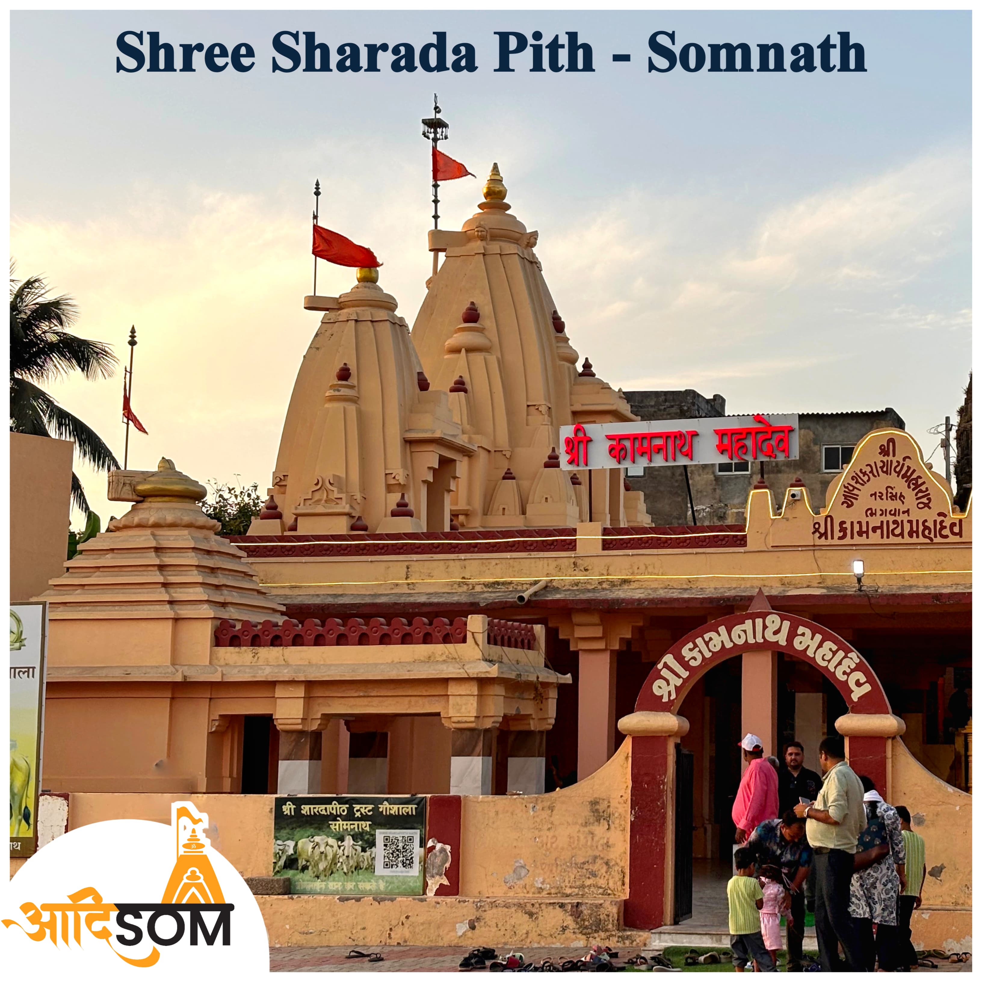 Sharda Math