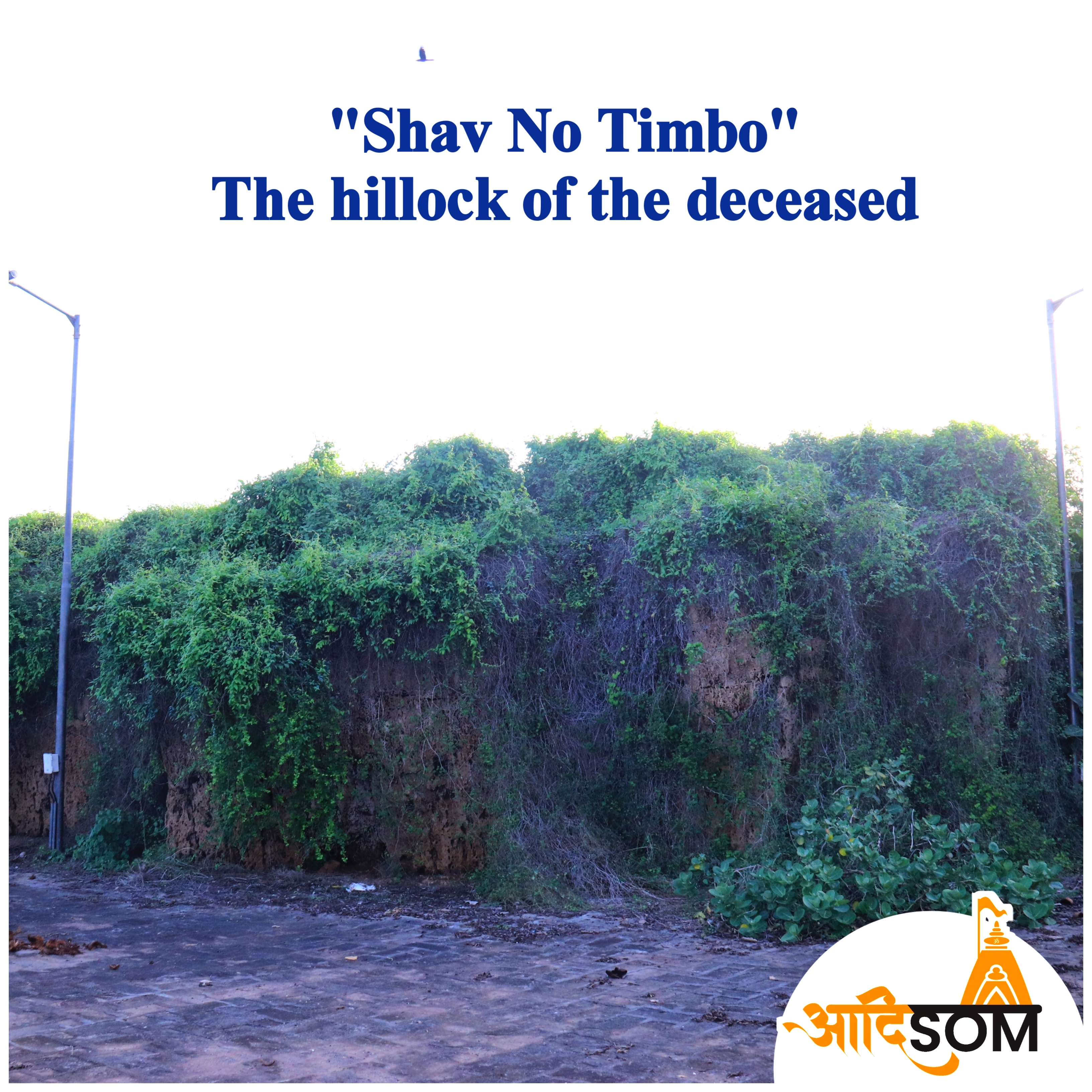 Shav No Timbo: The Hillock of the Deceased