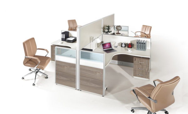 4 Person Workstation Partition