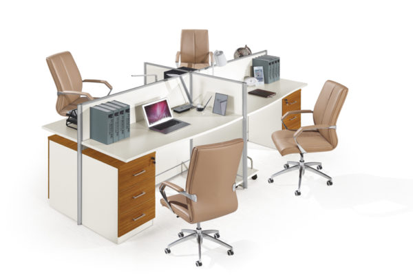 4 Person Workstation Partition