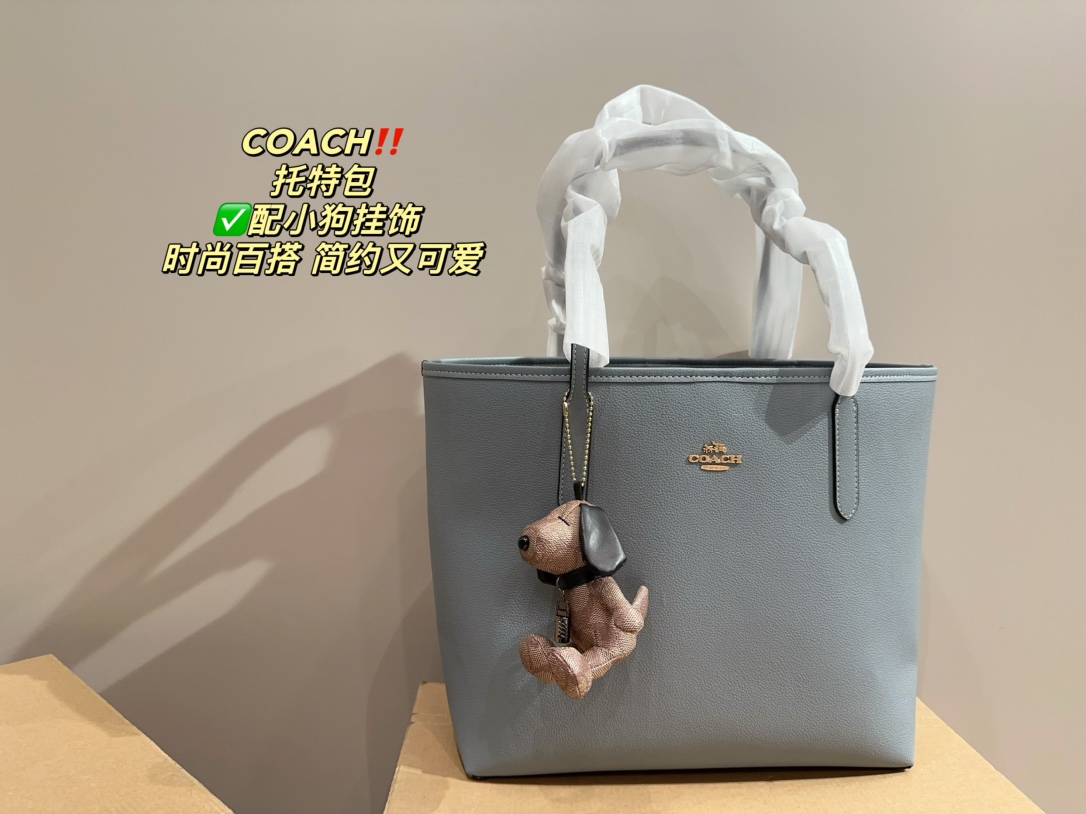 21889-COACH -475 gallery