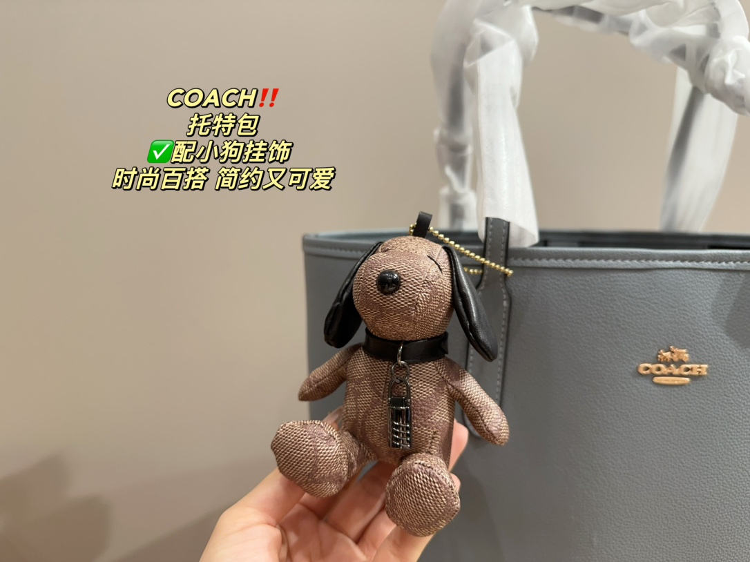 21889-COACH -475 gallery