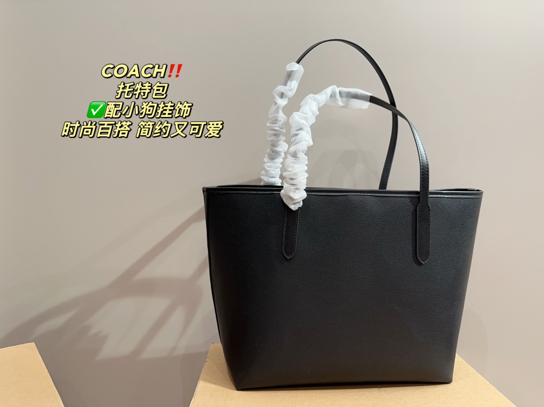 21889-COACH -475 gallery