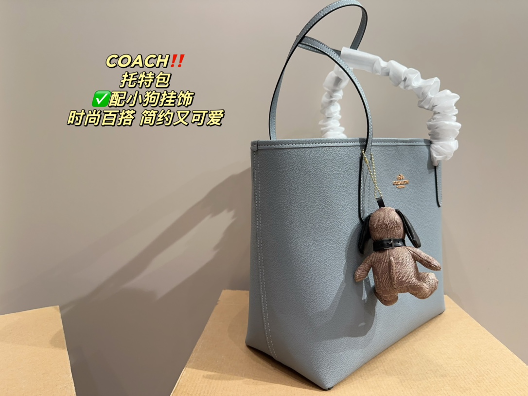 21889-COACH -475 gallery