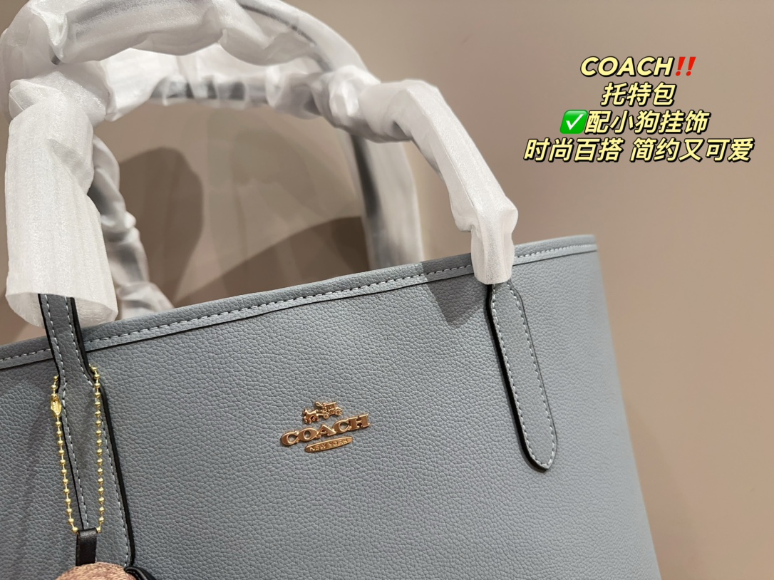 21889-COACH -475 gallery