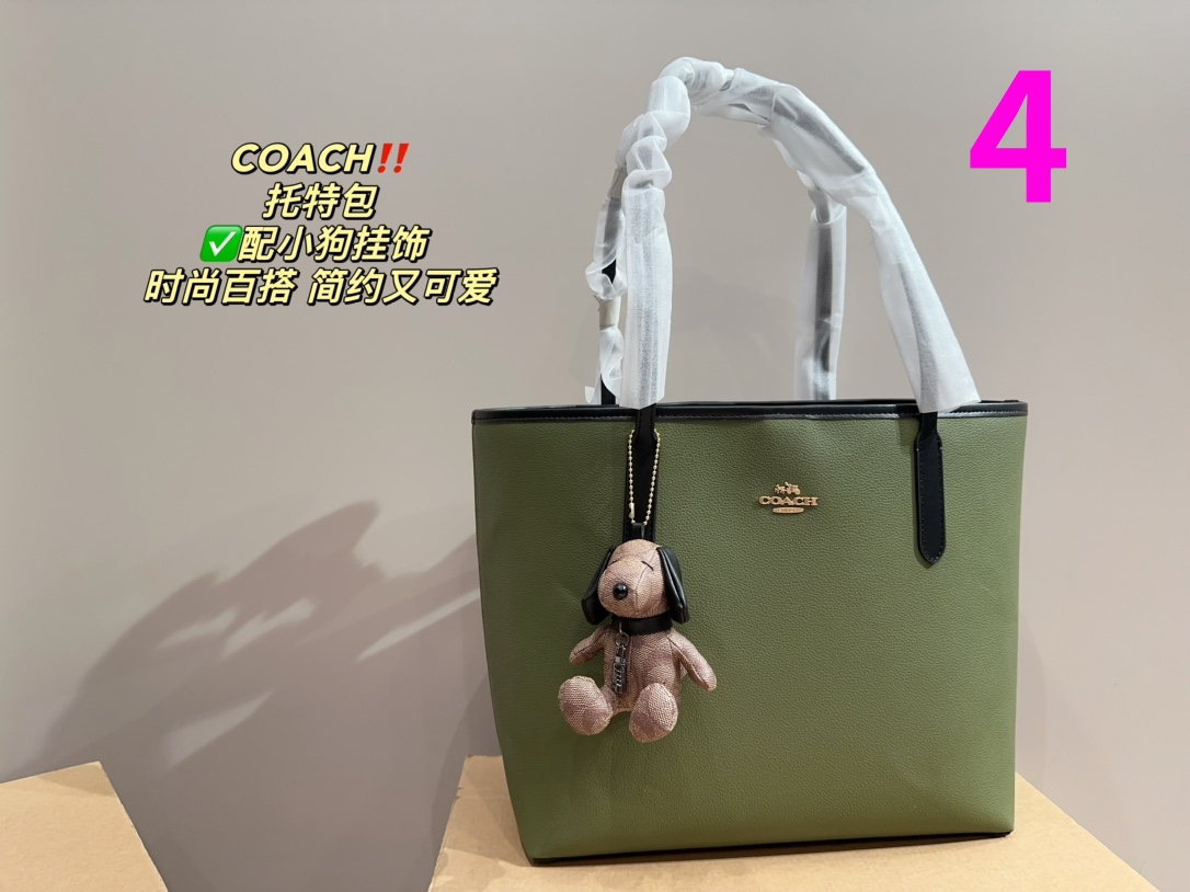 21889-COACH -475 gallery