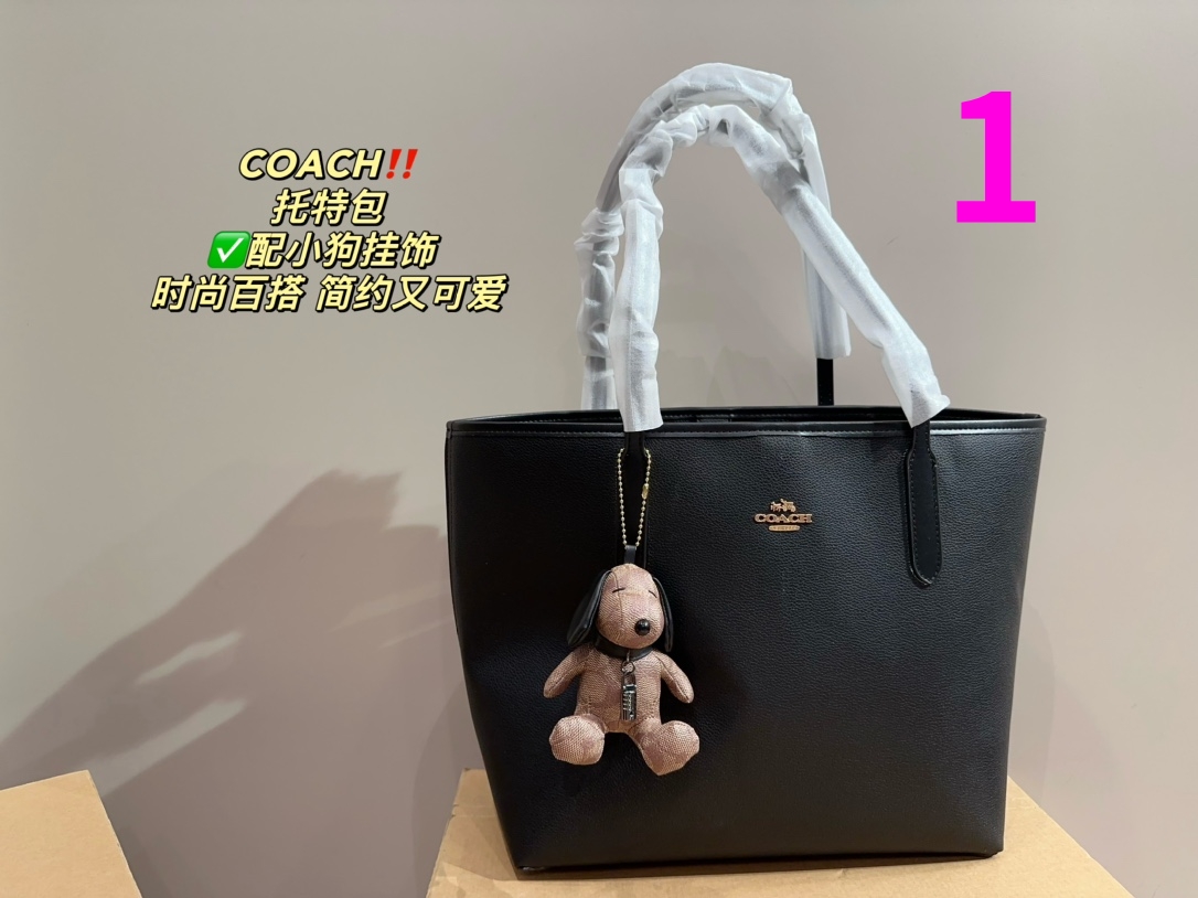 21889-COACH -475 gallery