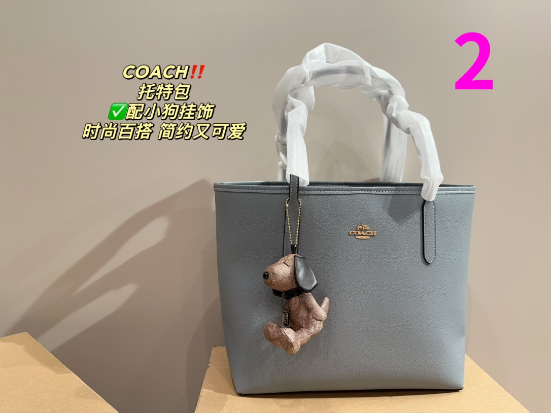 21889-COACH -475 gallery