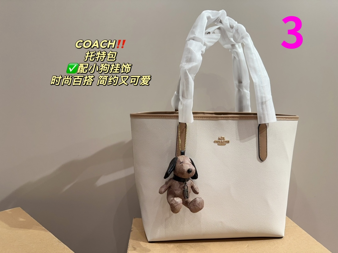 21889-COACH -475 gallery