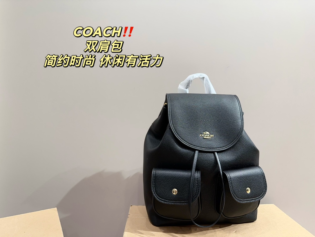 22401-coach-480 gallery