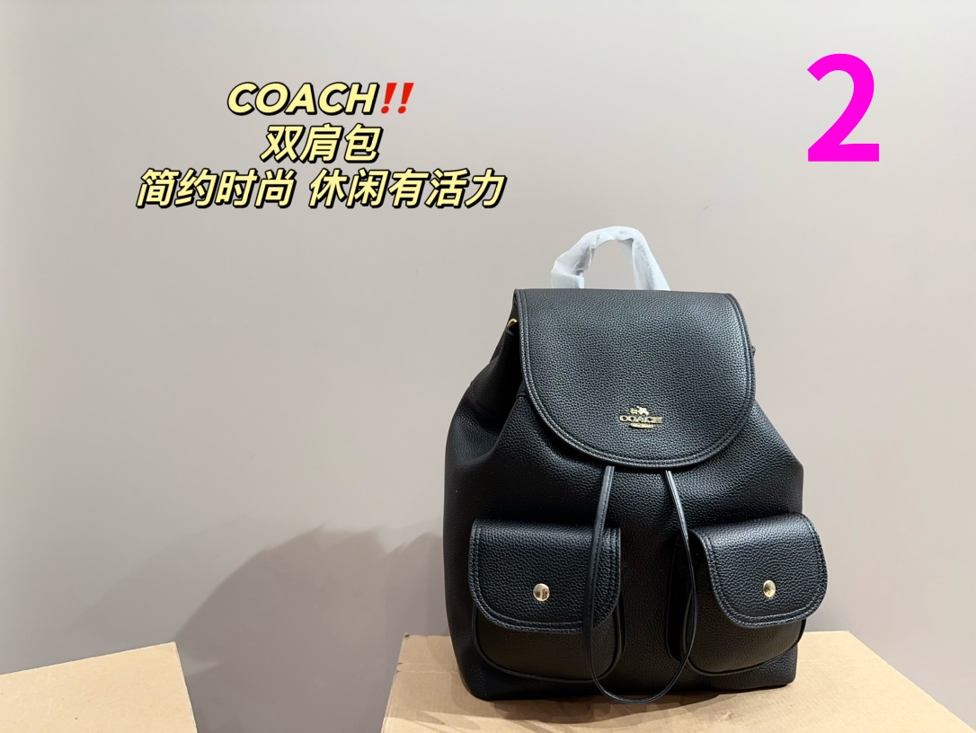 22401-coach-480 gallery