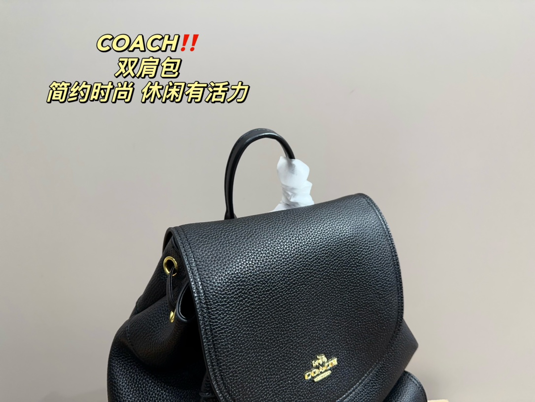 22401-coach-480 gallery