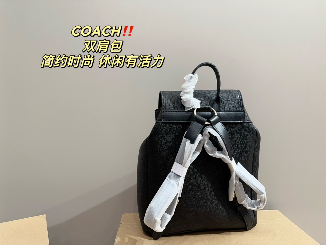 22401-coach-480 gallery