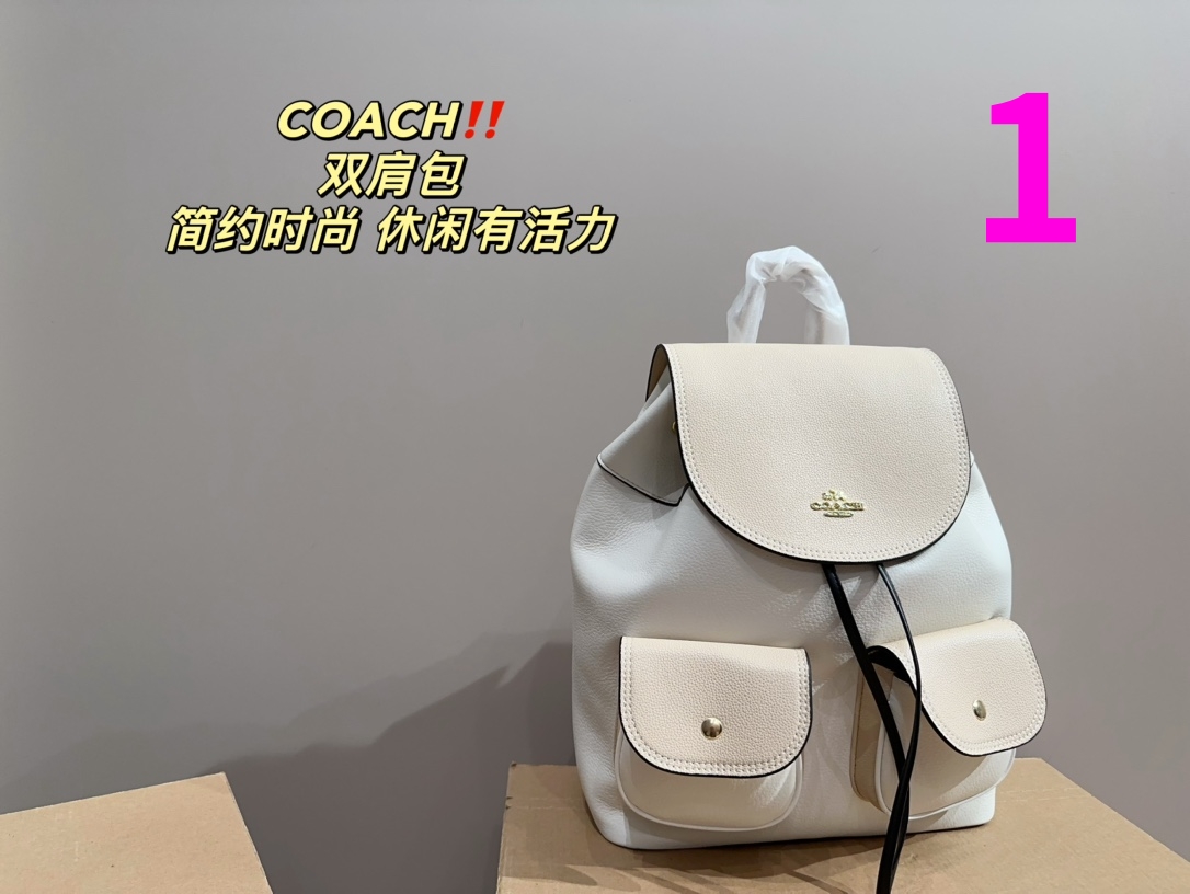 22401-coach-480 gallery