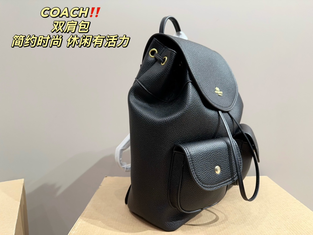 22401-coach-480 gallery