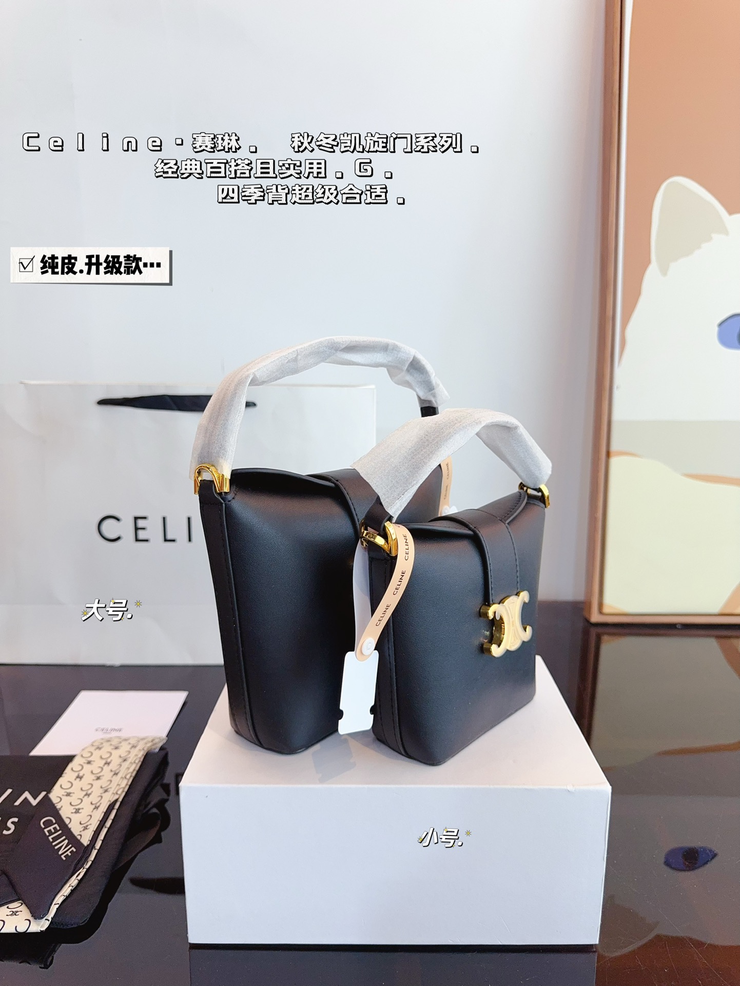 25081-Celine-450 gallery