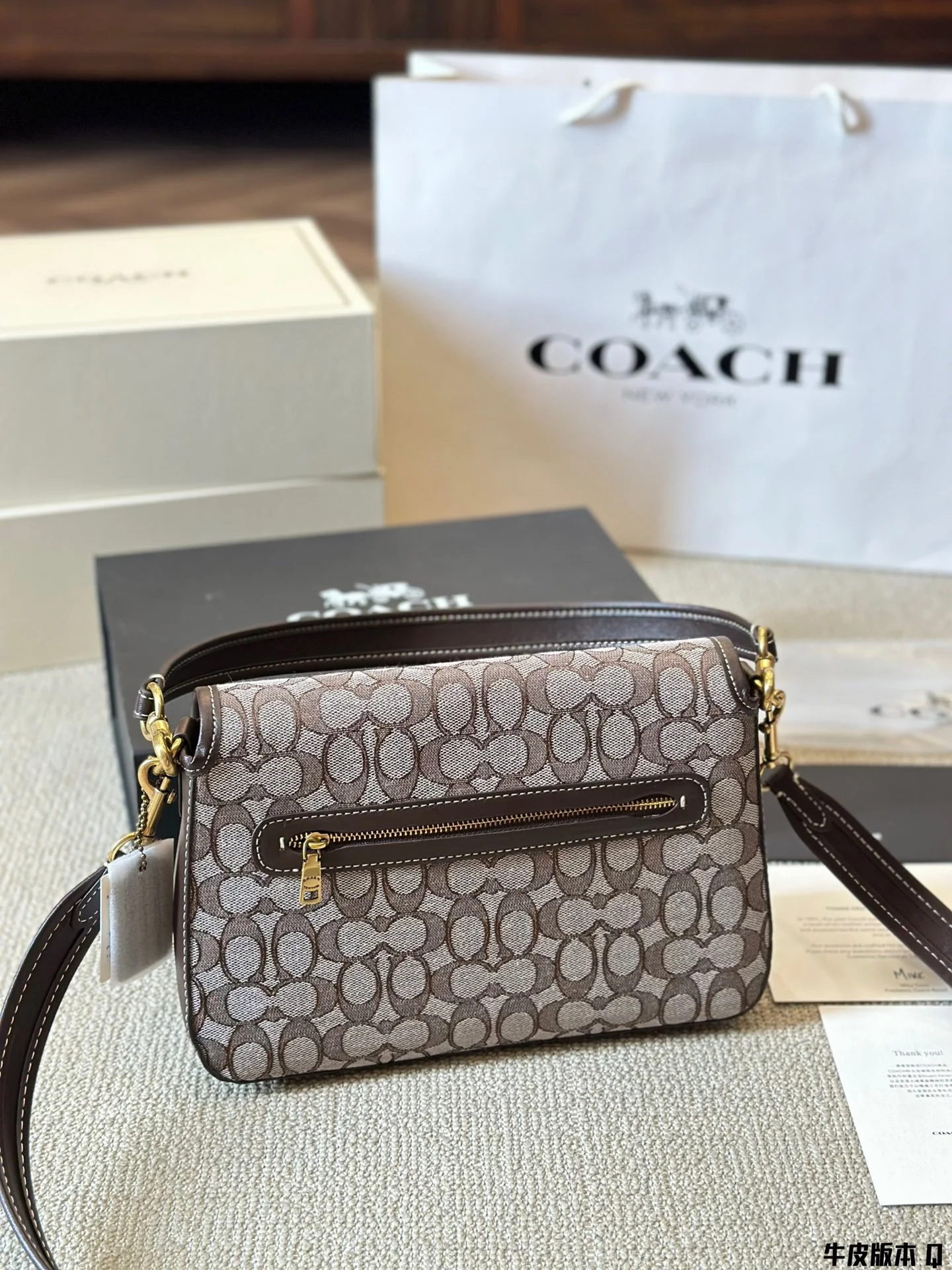 3878-75-540-COACH-WITH BOX-1:1 gallery