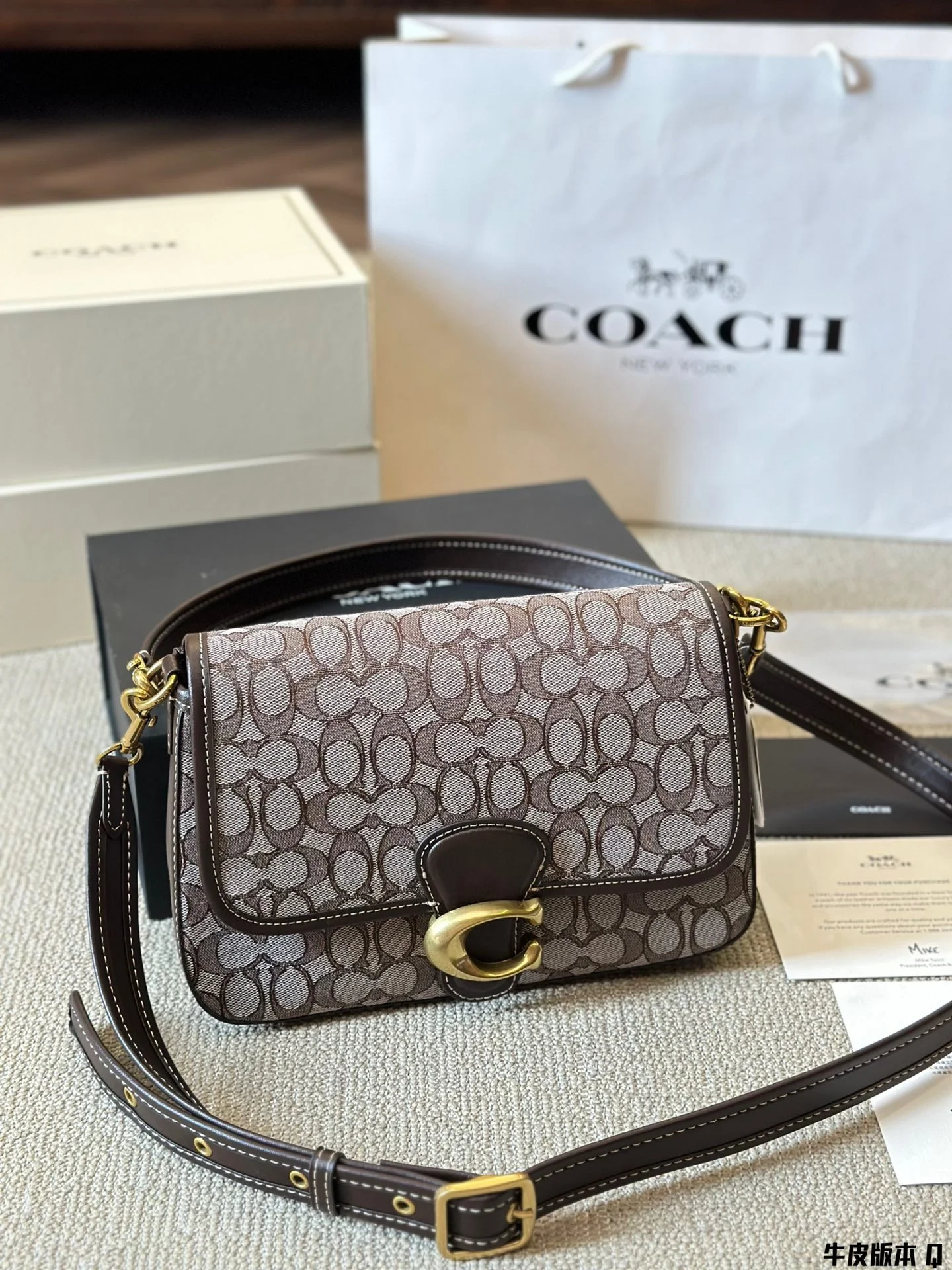 3878-75-540-COACH-WITH BOX-1:1 gallery