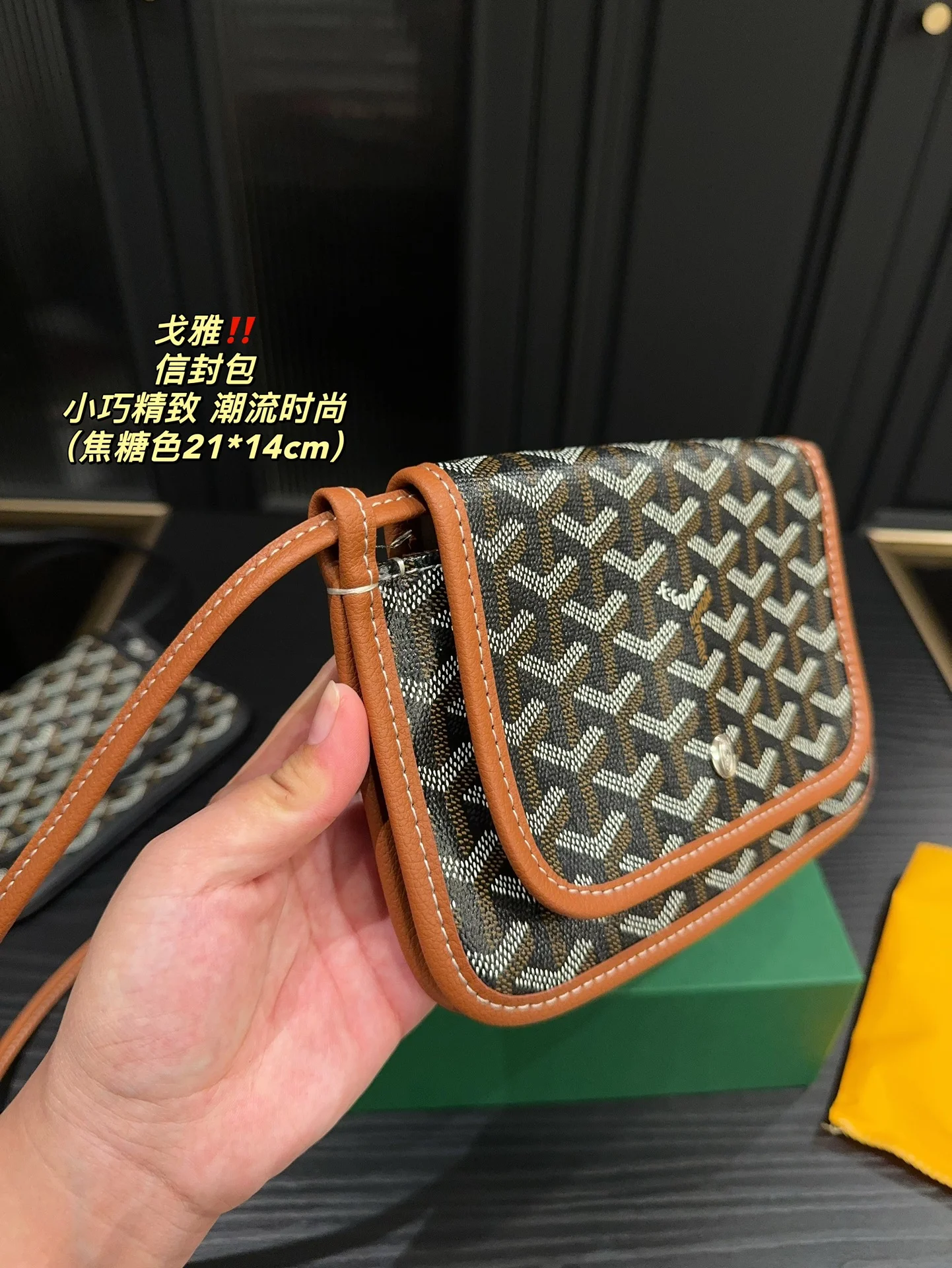 3915-320-45-goyard-with box gallery