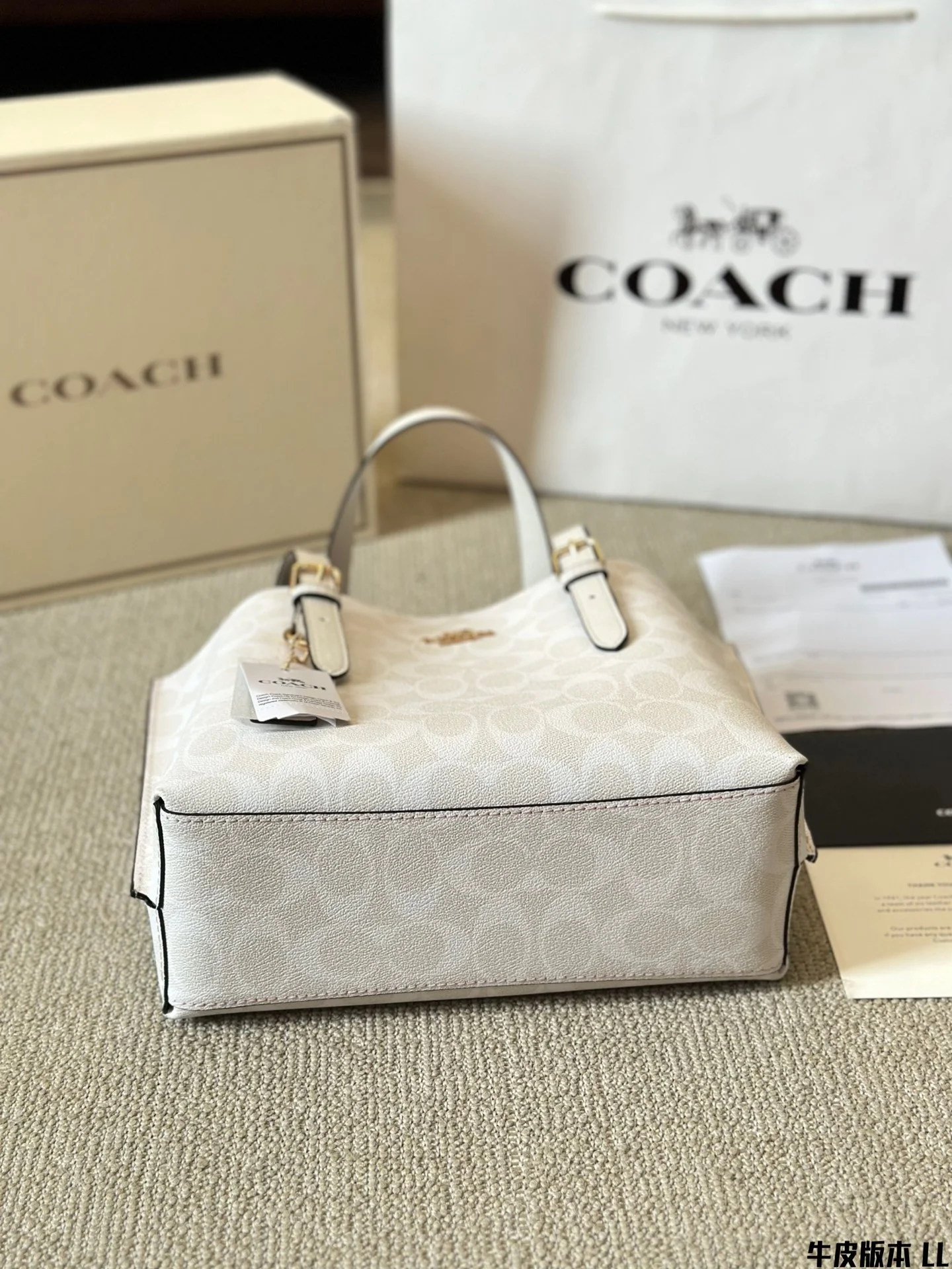 3930-473-65-coach-with box gallery