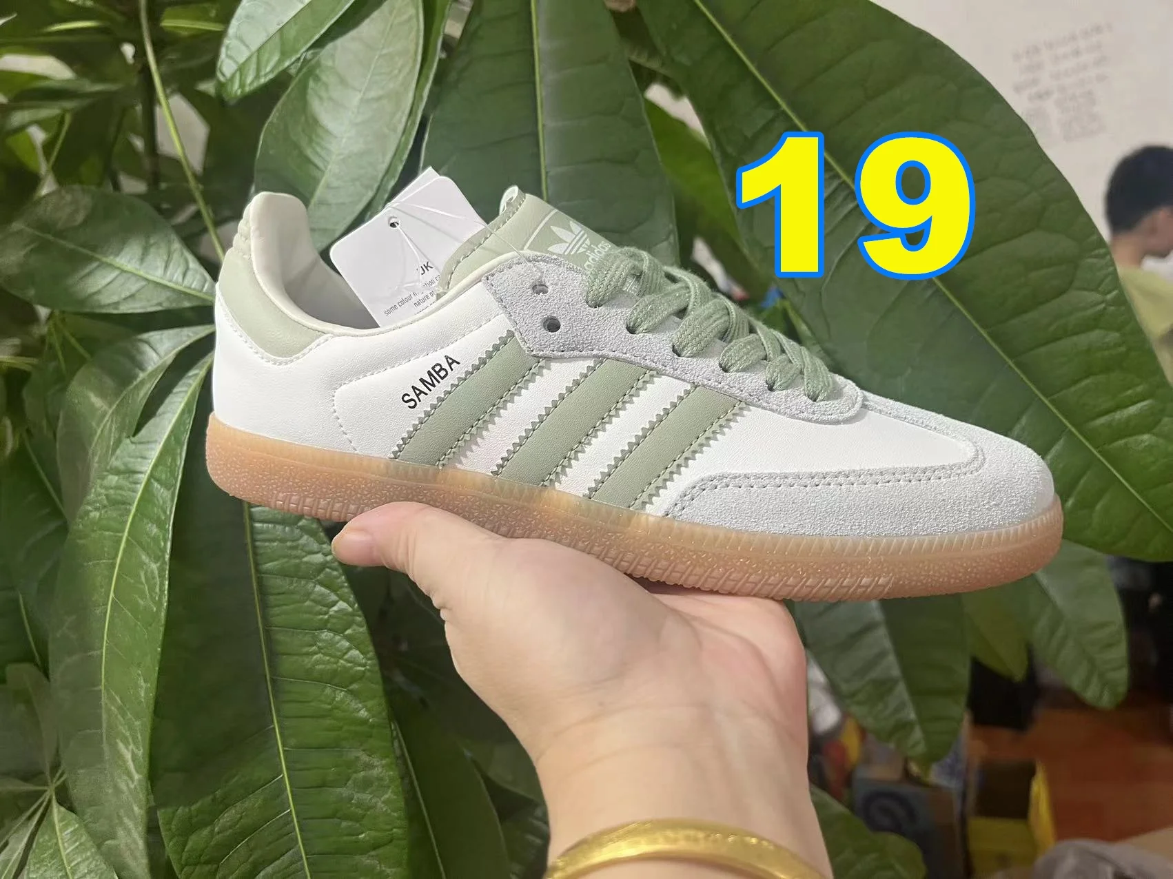 3971-adidas-55-396-with box gallery