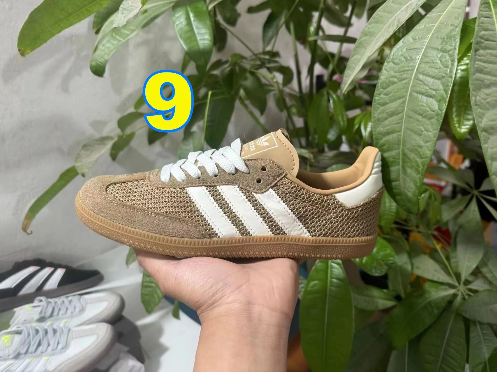 3971-adidas-55-396-with box gallery