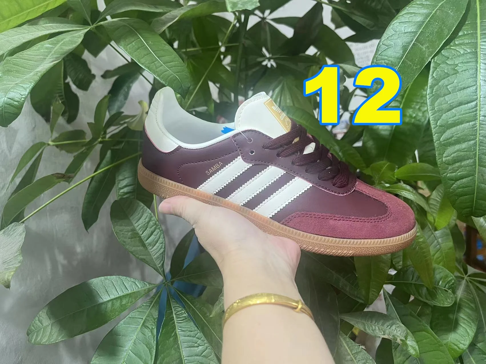 3971-adidas-55-396-with box gallery