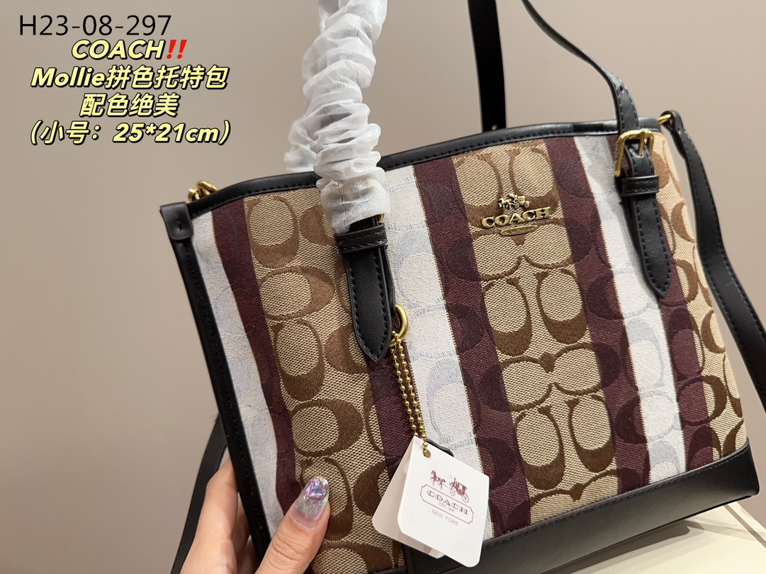 62.29-COACH     9935-T gallery