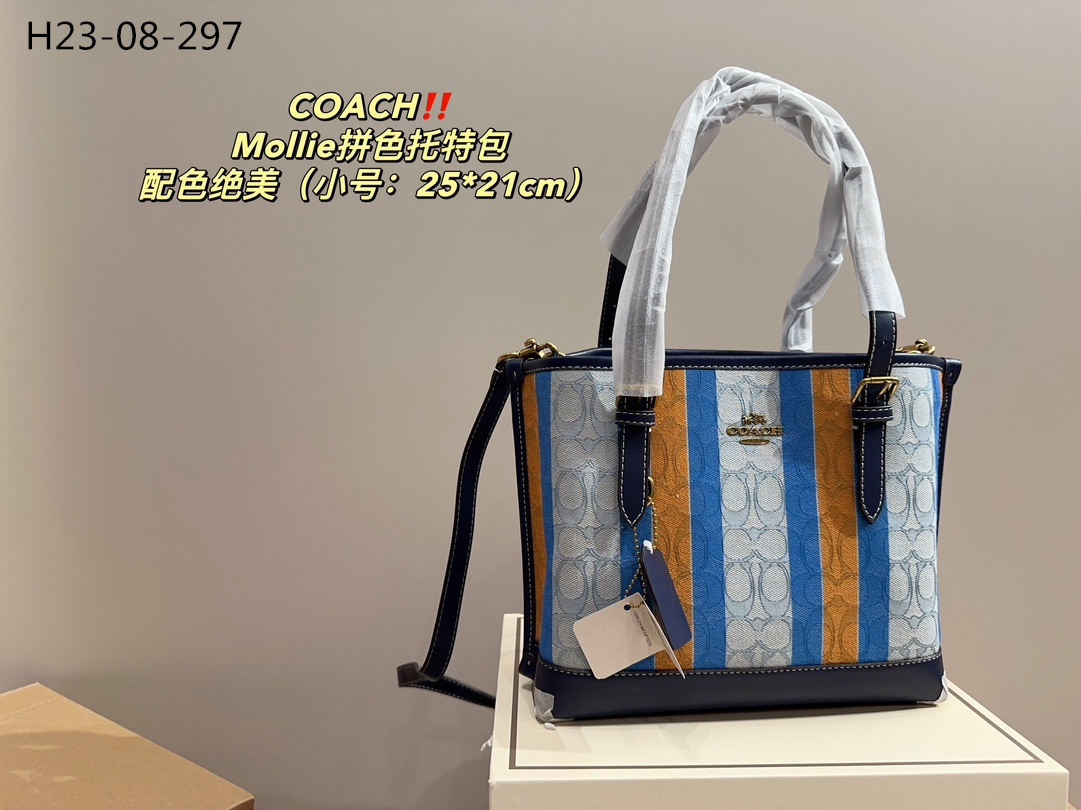 62.29-COACH     9935-T gallery