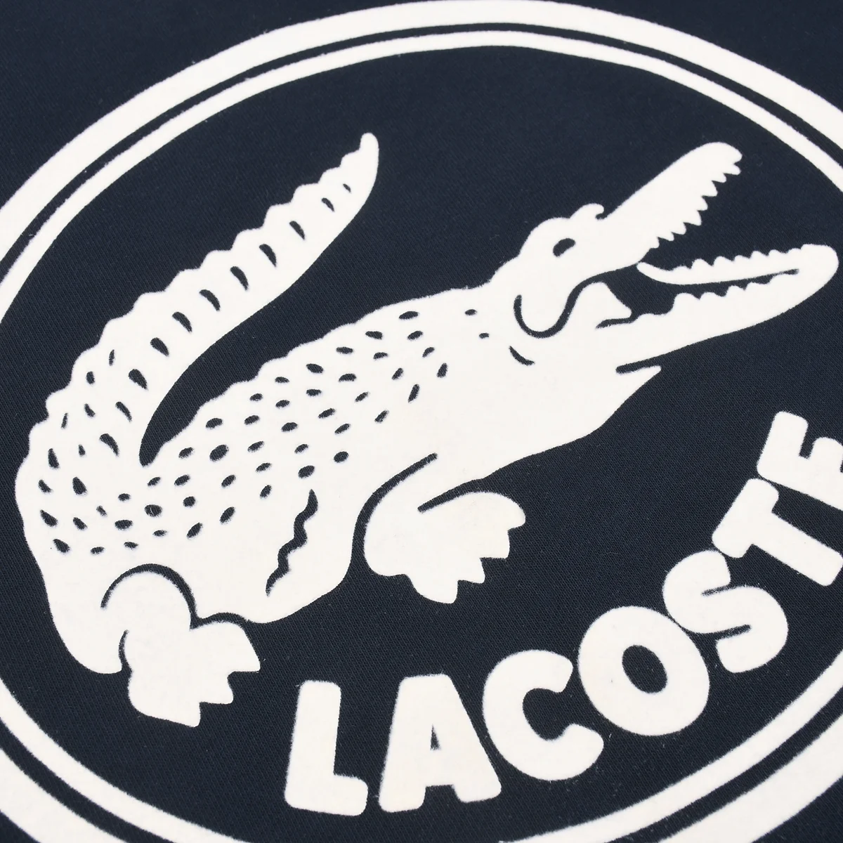 LACOSTE $49 gallery