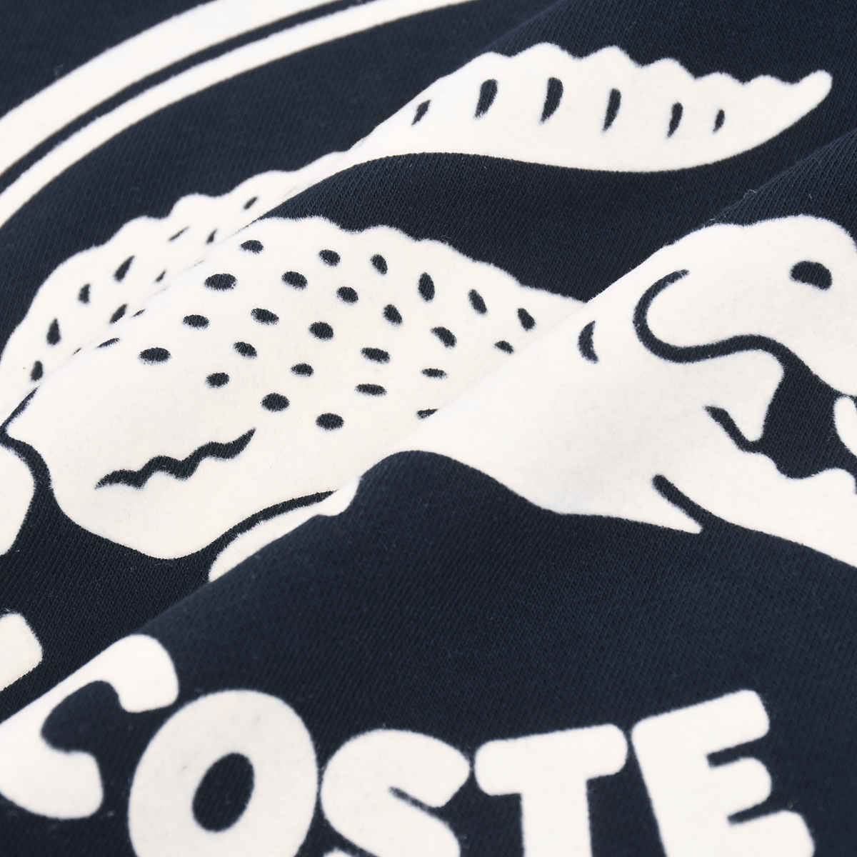 LACOSTE $49 gallery