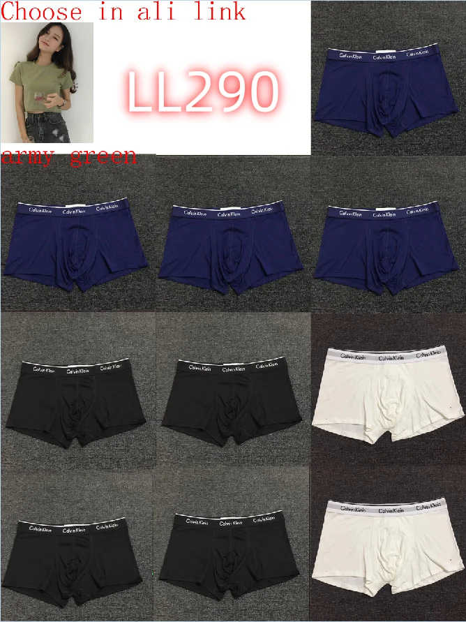 LL282 boxer gallery