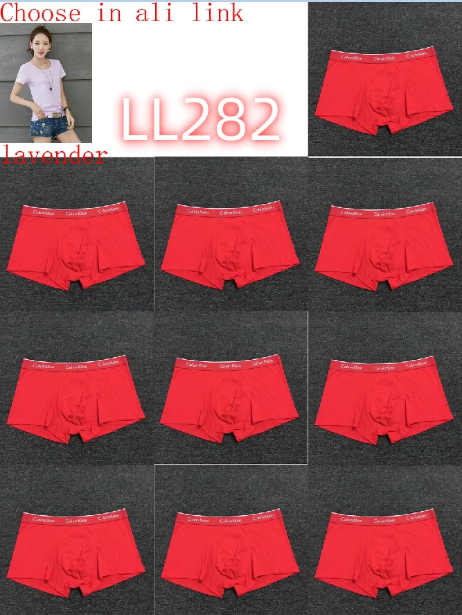 LL282 boxer gallery