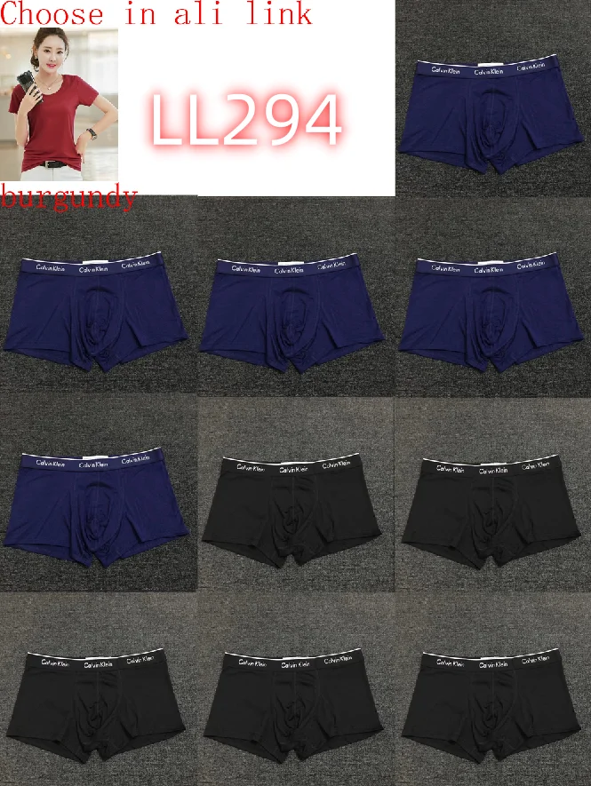 LL282 boxer gallery