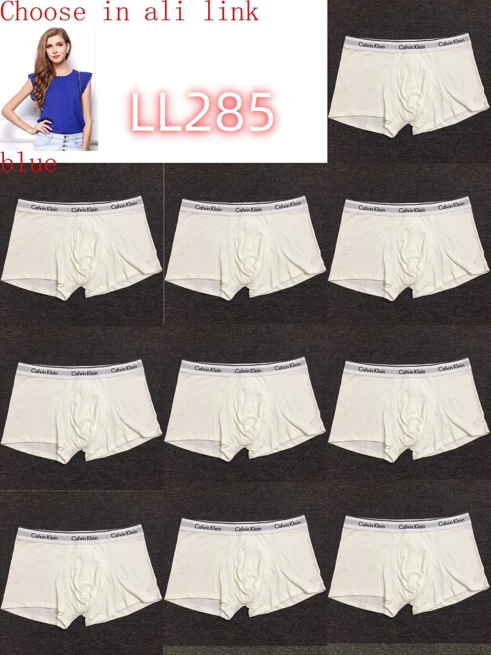 LL282 boxer gallery