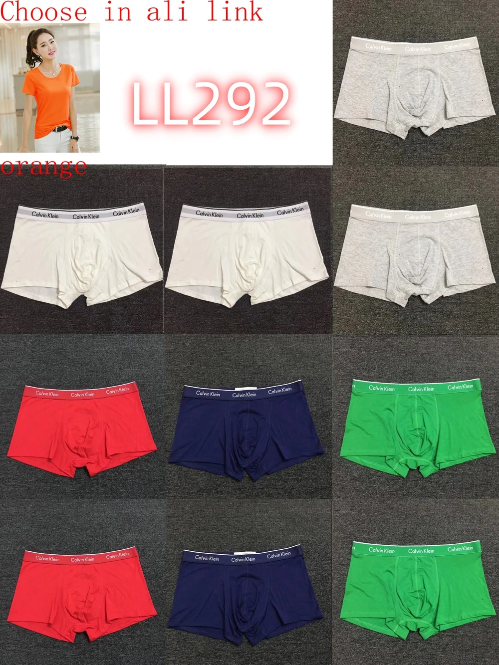 LL282 boxer gallery