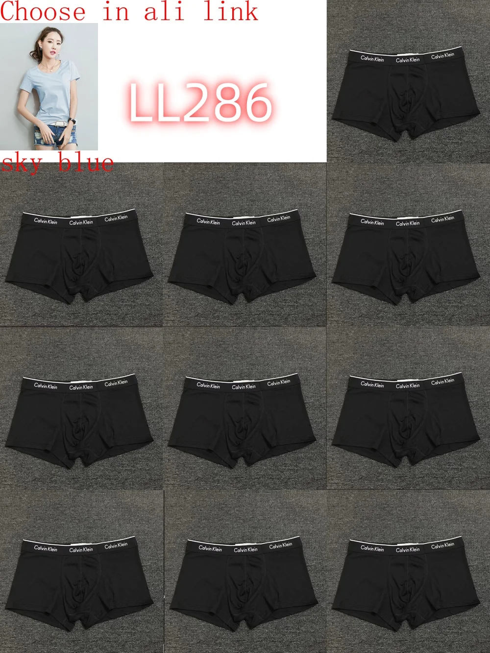 LL282 boxer gallery