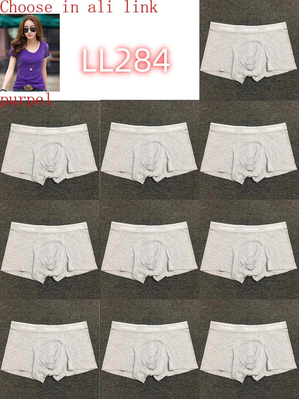 LL282 boxer gallery