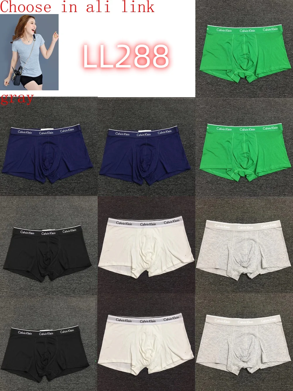 LL282 boxer gallery