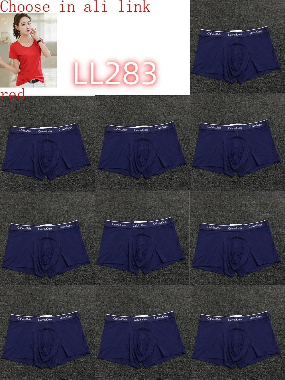 LL282 boxer gallery