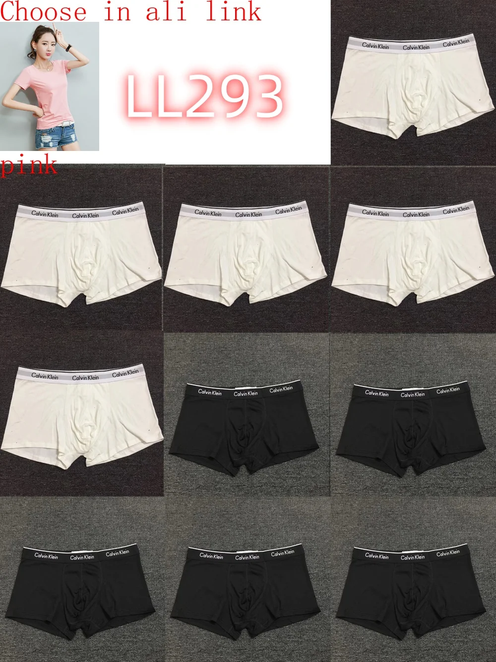 LL282 boxer gallery