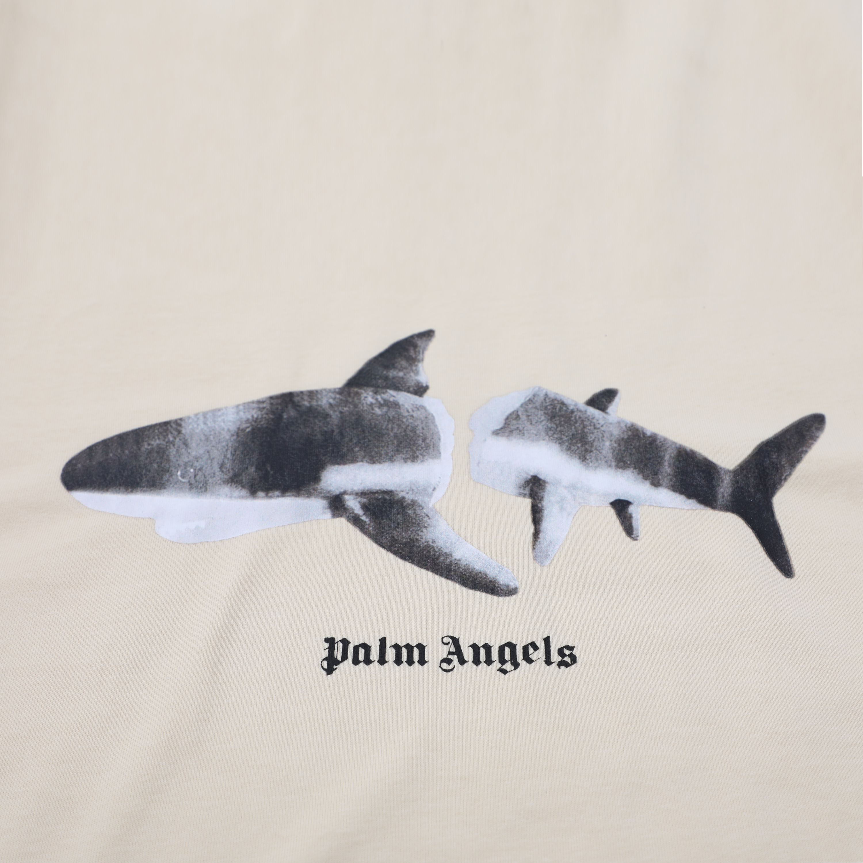 PALM ANGELS $24 gallery