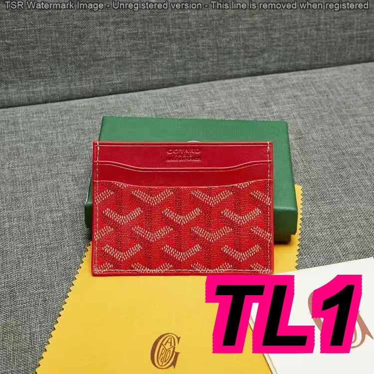 TL4674 GOYARD  28$ gallery