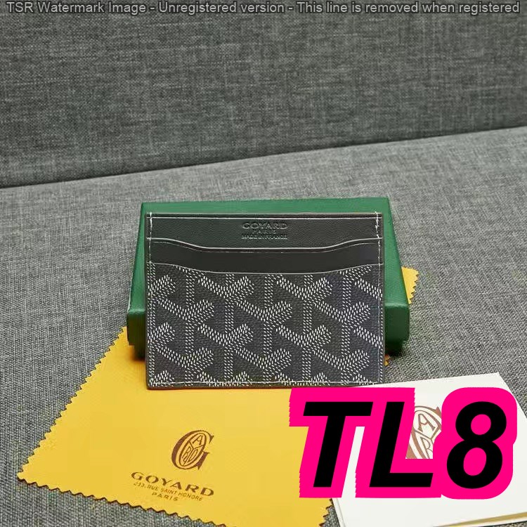 TL4674 GOYARD  28$ gallery