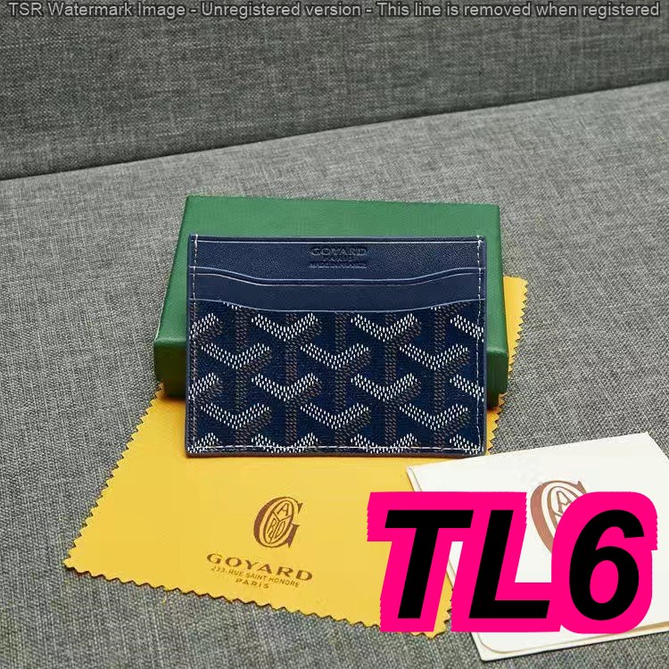 TL4674 GOYARD  28$ gallery