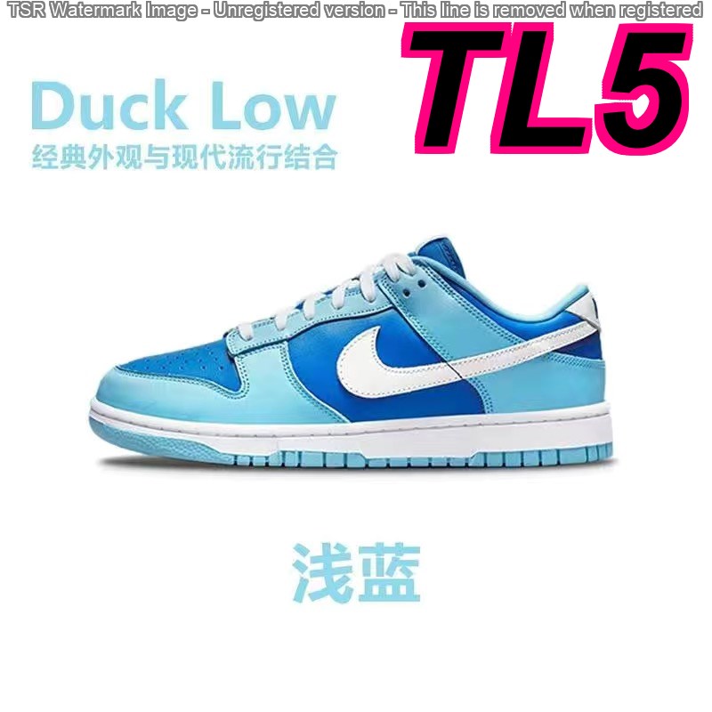 TL4746 NIKE DUNK LOW 55$ gallery