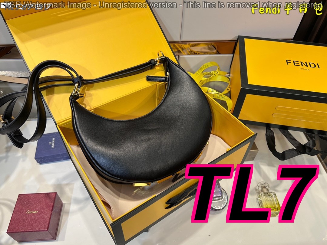 TL6377 FENDI 55$ gallery