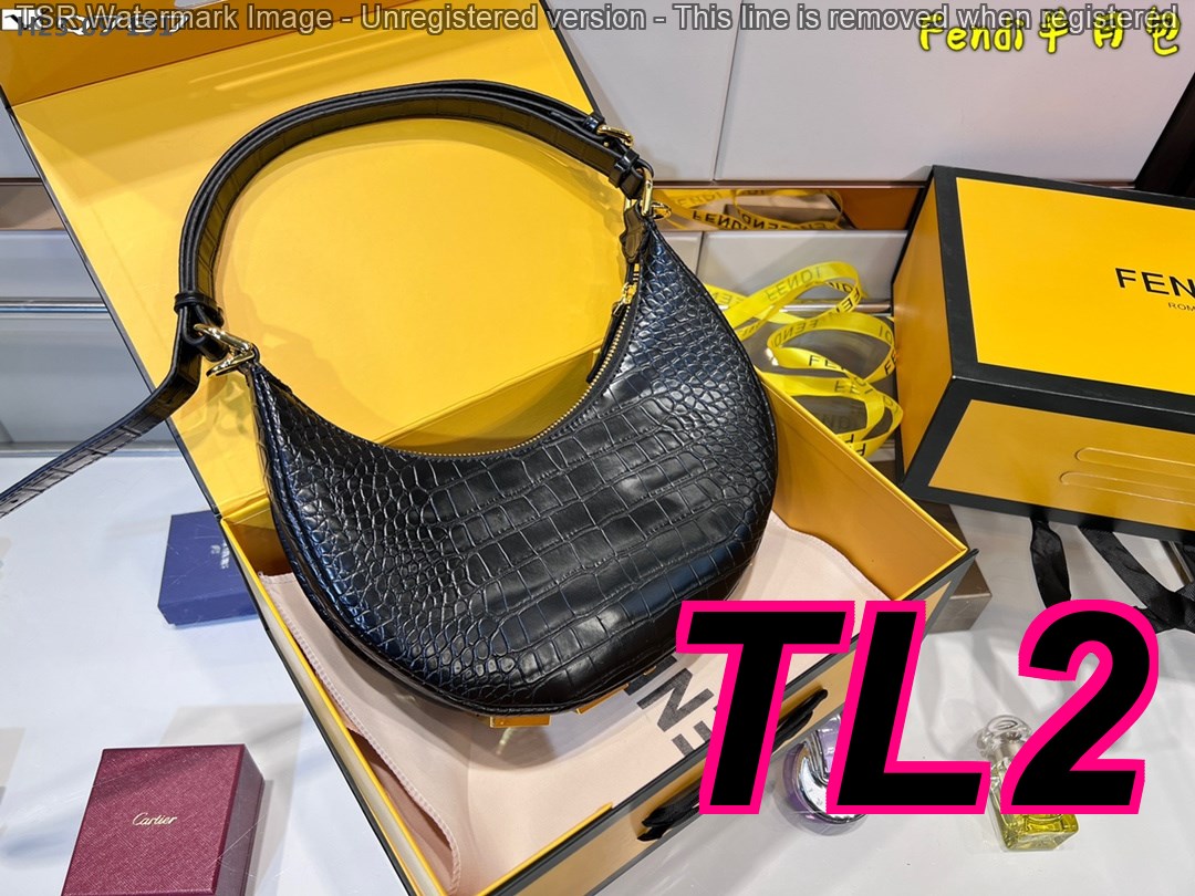 TL6377 FENDI 55$ gallery