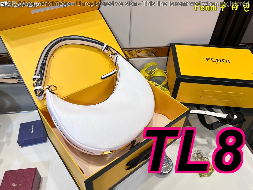 TL6377 FENDI 55$ gallery